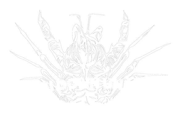 KAI DOWN UNDER